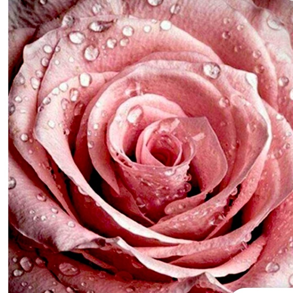 STUFF IT Like and share this post.  Sharing Yours and Mine - Picture 12 of 13